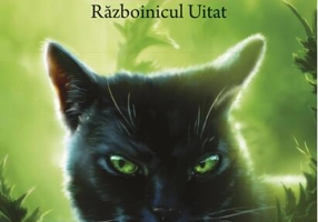 Războinicul Uitat (Vol.23)