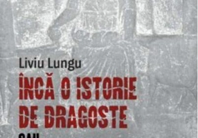 Încă o istorie de dragoste sau arhitectonia unui chip cioplit