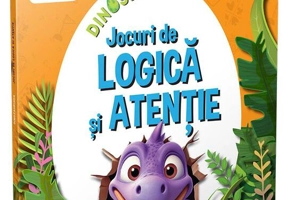 Jocuri de logică și atenție