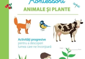 Animale și plante