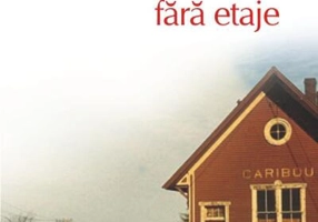 America fără etaje (Top 10+)