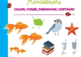 Culori, forme, dimensiuni, contrarii