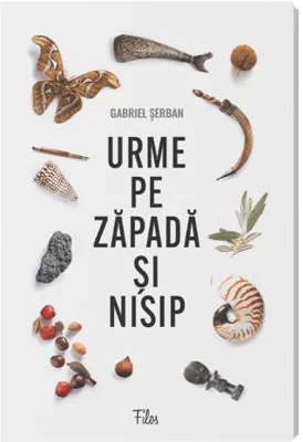 Urme pe zăpadă și nisip