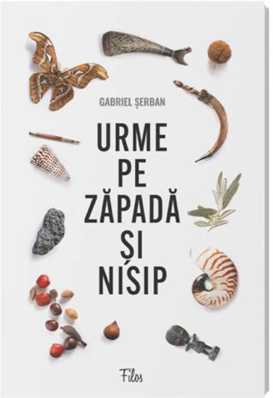 Urme pe zăpadă și nisip
