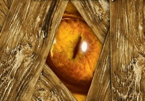 Întoarcerea la Cumpăna apelor