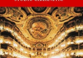 Grai și cânt - Studiu cibernetic