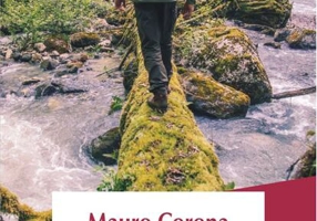 Ca o piatră în rîu