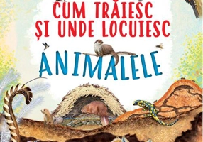 Cum trăiesc și unde locuiesc animalele