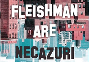 Fleishman are necazuri