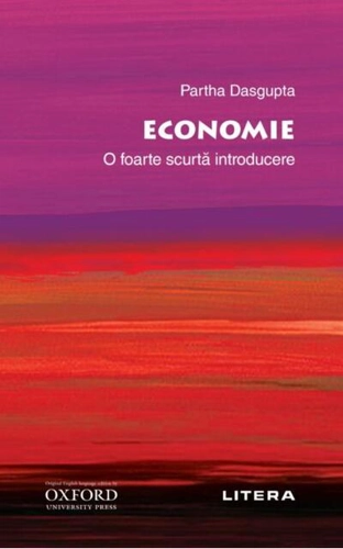 Economie. O foarte scurtă introducere