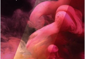 Mărturisirea. Seria Amantul (vol.3)