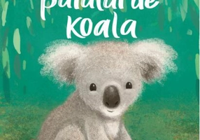 Salvarea puiului de koala