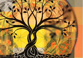 Lumea interioară a traumei