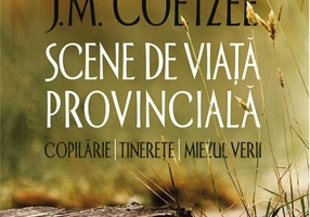 Scene de viaţă provincială