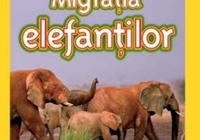 Migrația elefanților