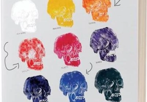 Evoluția barbatului