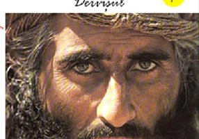 Dervișul. Inimi Germane (Vol. 1)