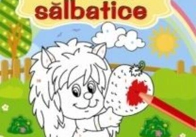 Animale sălbatice. Colorăm pe numere