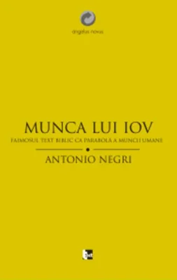 Munca lui Iov. Faimosul text biblic ca parabolă a muncii umane