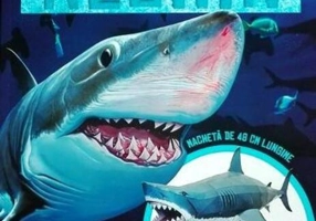 Construiește-ți un rechin