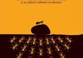 Criza spiritului american