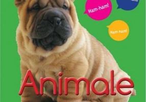 Animale. Primele mele imagini