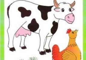 Animale şi păsări din ogradă - Bloc de colorat