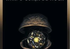 Universul într-o coajă de nucă