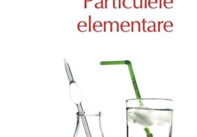 Particulele elementare