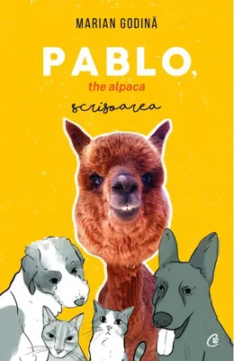 Pablo, the alpaca