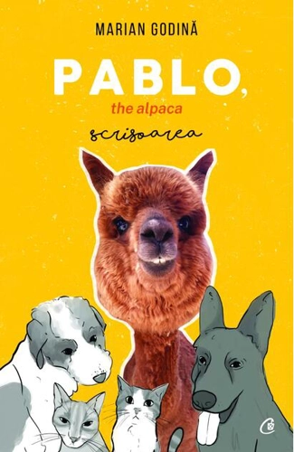 Pablo, the alpaca