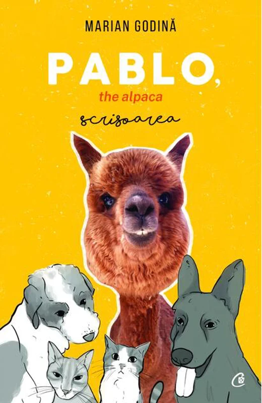 Pablo, the alpaca
