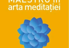 Cum să devii maestru în arta meditației