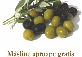 Măsline aproape gratis