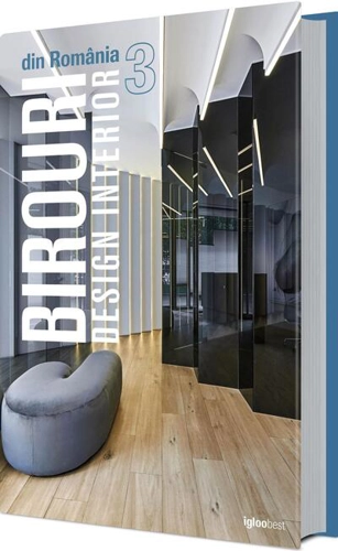 Birouri din România. Design interior 3