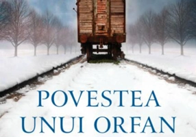 Povestea unui orfan