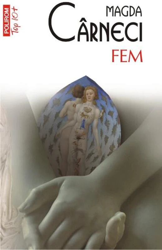 FEM (Top 10+)
