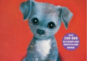 Winston, cățelușul din adăpost