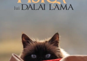 Pisica lui Dalai Lama