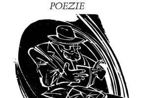 Introducere în poezie