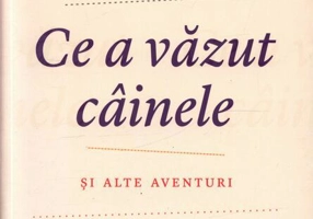 Ce a văzut câinele şi alte aventuri