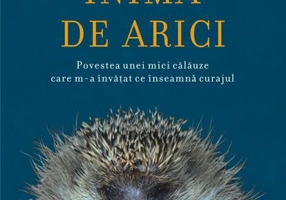 Inimă de arici