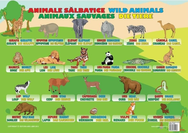 Planșă - Animale sălbatice