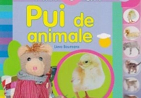 Pui de animale. Am 1 an