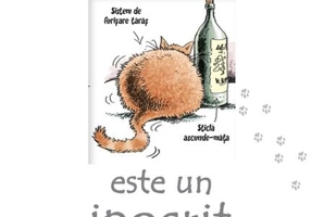 Motanul meu este un ipocrit