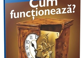 Cum funcționează?