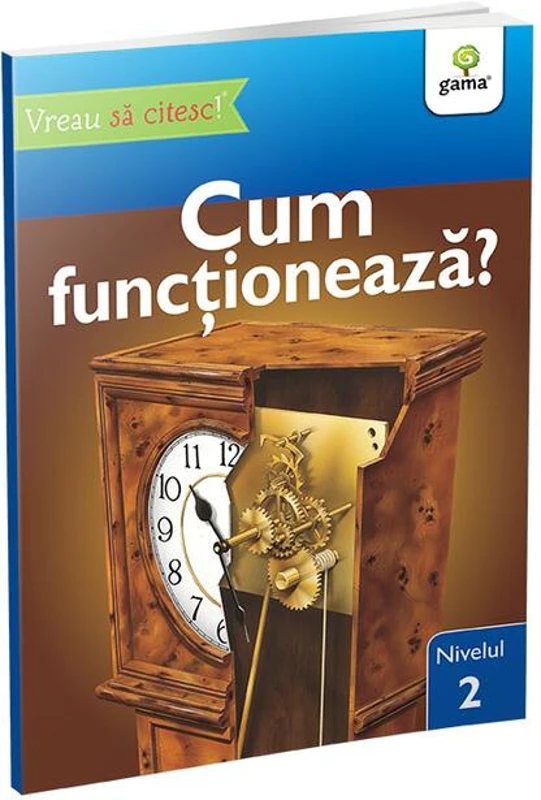 Cum funcționează?