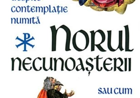 Norul necunoaşterii