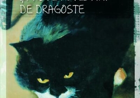 Pot merge şi singur şi alte povestiri de dragoste