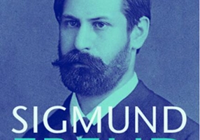 Nevroză, psihoză, perversiune. Opere Esenţiale (Vol. 7)